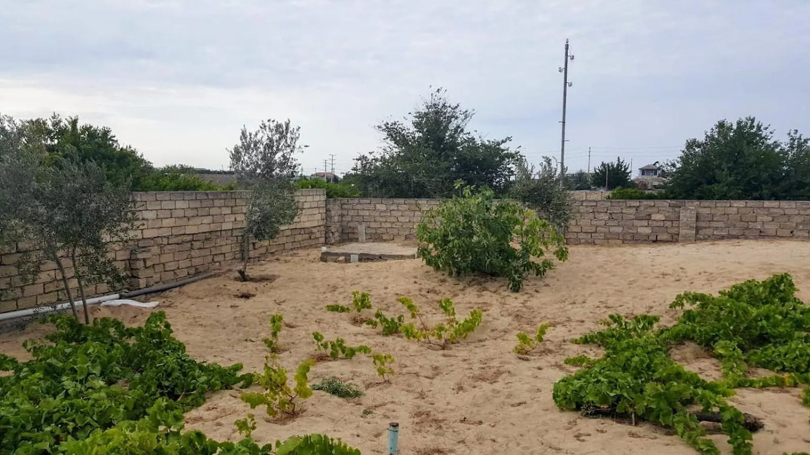 Pirshagi Villa Baku